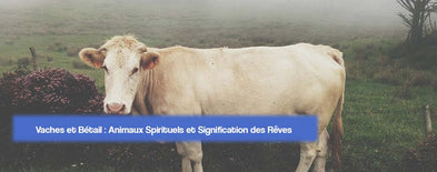 Vaches et Bétail : Animaux Spirituels et Signification des Rêves