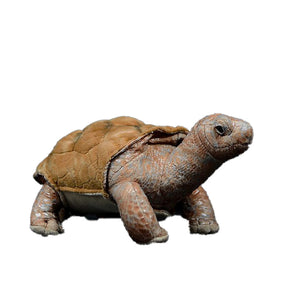 Peluche <br>Tortue Galapagos