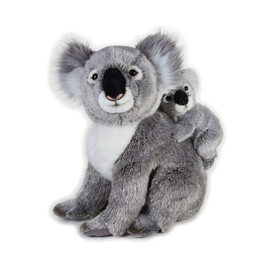 koala peluche national geographic
